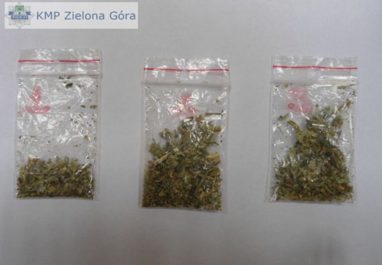 narkotykizielonalipiec