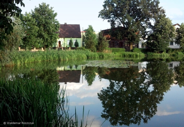 opalewo-staw