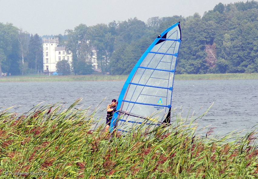 Windsurfing - Niesłysz Lubuskie