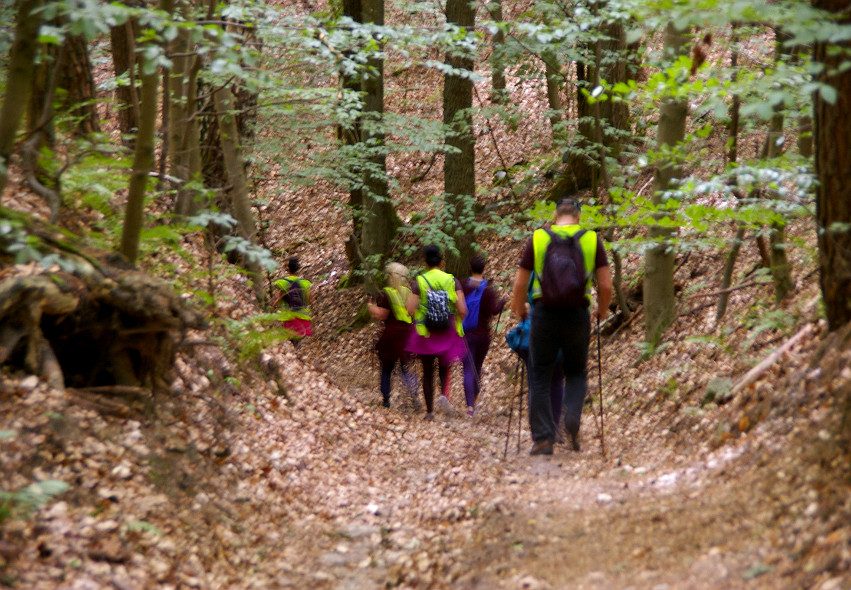 Łagów - nordic walking