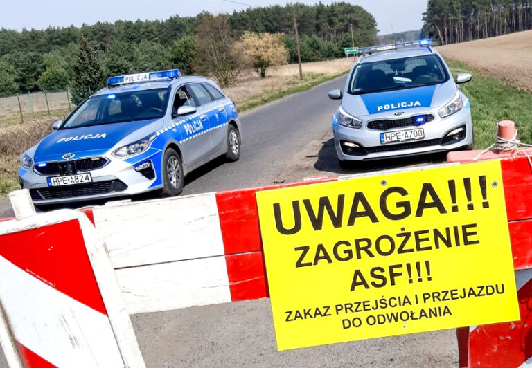 policja-asf