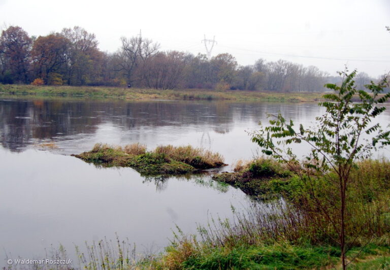 odra-odc-lubuskie