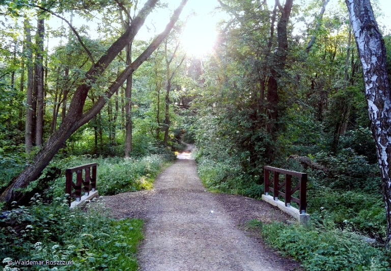 rowerowa-wilkowo