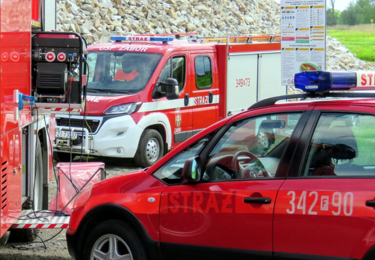 straz-akcja-poszuk