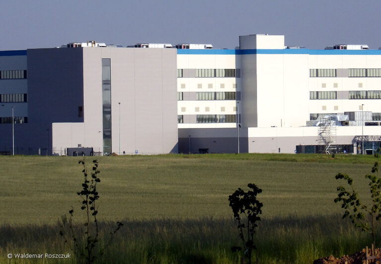 amazon-poz-2