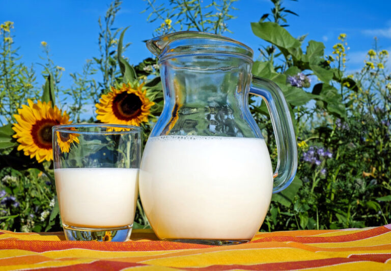 mleko-sloneczniki