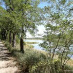 rzeka-odra-lubuskie