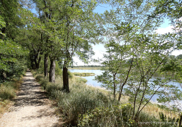 rzeka-odra-lubuskie
